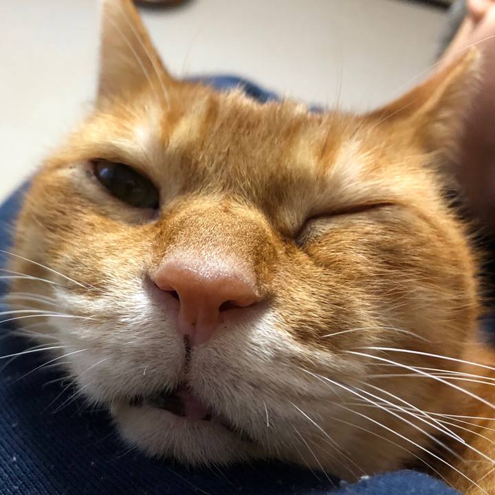 Fbfa369c 0146 49c2 ac55 78b7115cda69 1736546667801