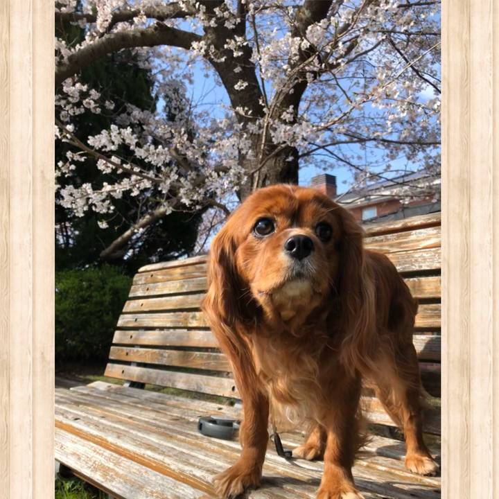 Fbfa74a9 2fdb 46b4 bdac 1686597800d2 1616806248602