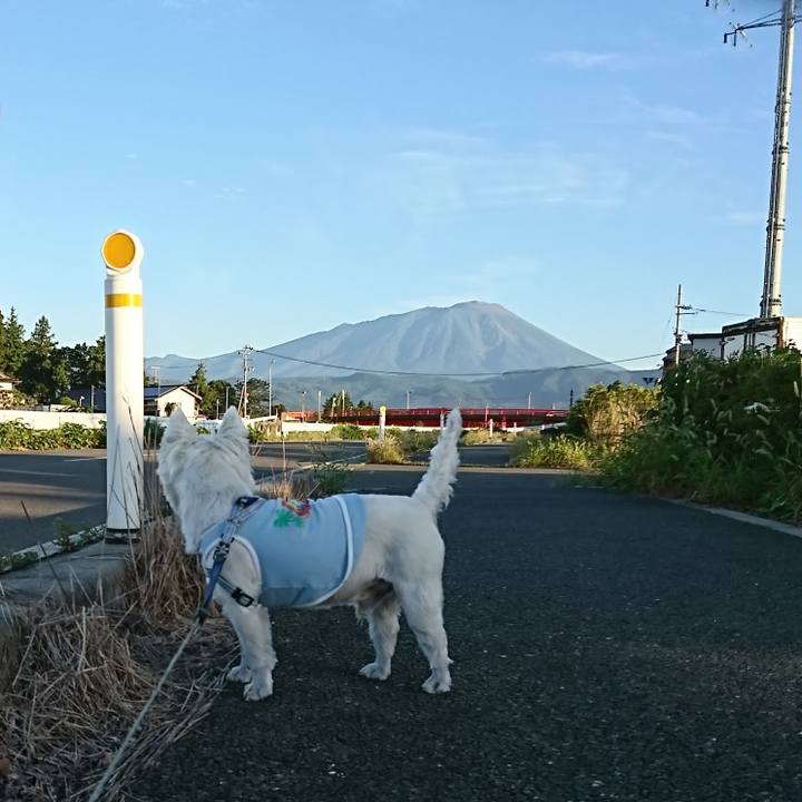 Fbfa85b0 8797 49d6 b0af 6fe7c8113f4d 1570368796100