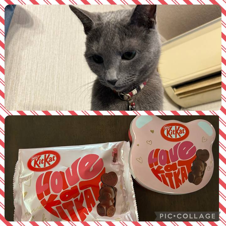 Fbfab73f bfb6 4721 aa40 535f841332d1 1738478646431