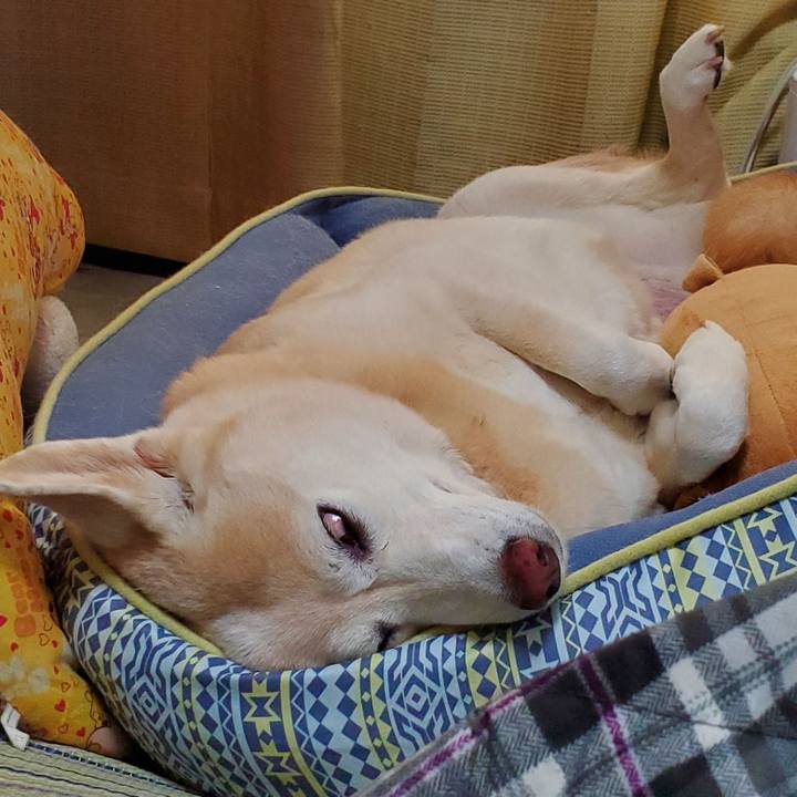 Fbfae4e4 862c 4401 b198 e8ce66668dc2 1595163547094