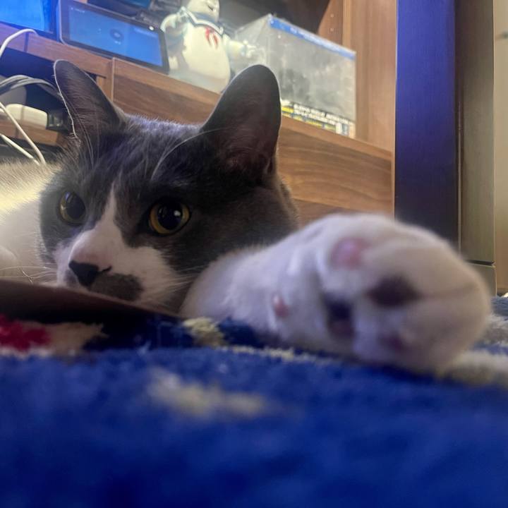 Fbfb30e5 e1ad 4fc2 bd9a 29c8809d3cb3 1683561194407