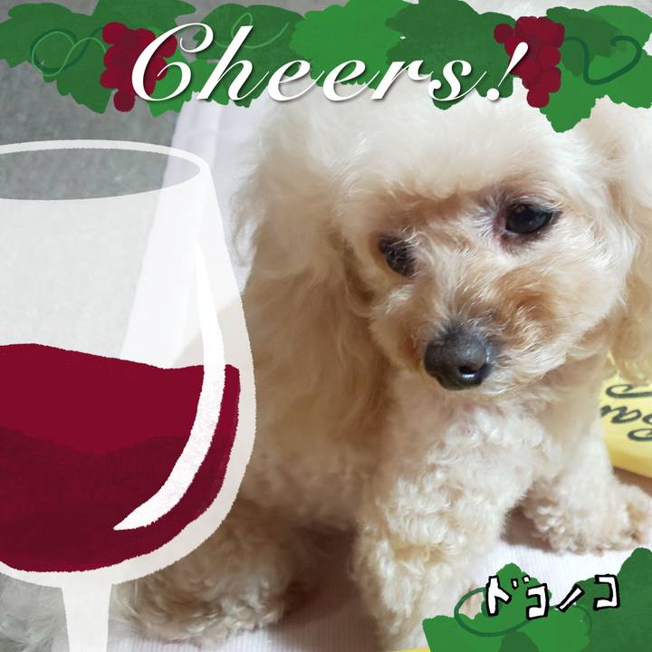 Fbfb32fb d1bd 4f50 87b0 f5d115a8c122 1762685260380