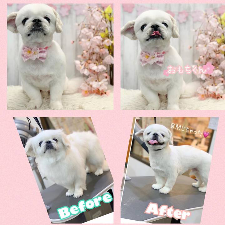 Fbfb39b2 6c7b 417a b322 7238d44df037 1680937512531