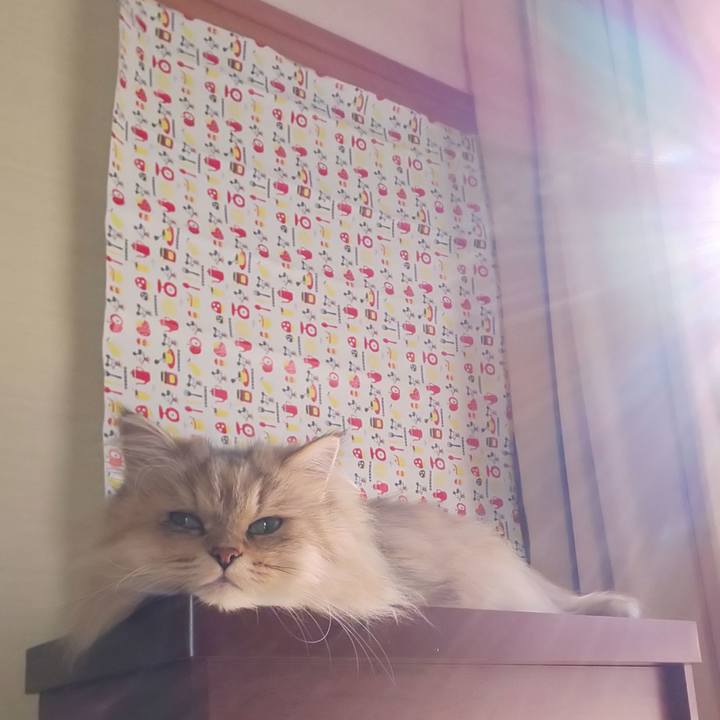 Fbfb6da6 439c 40d5 95bd e7ab4bc4316b 1600909646260