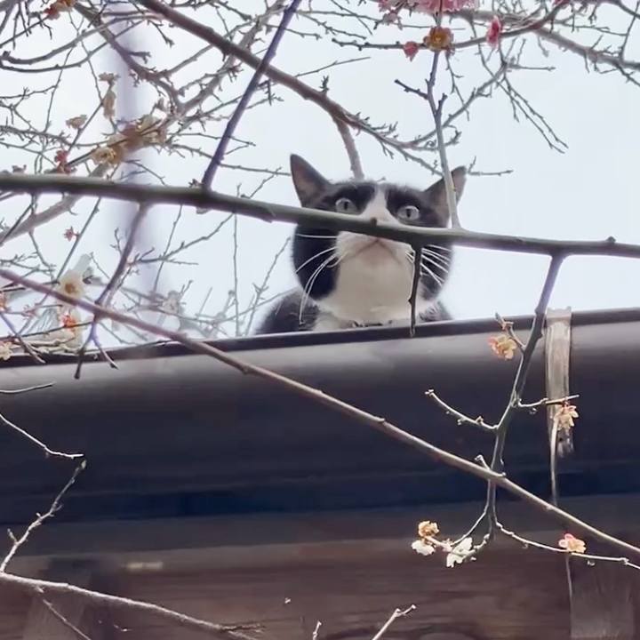 Fbfb74b7 8233 433d 8f1f dbdd18b6f400 1741831256900