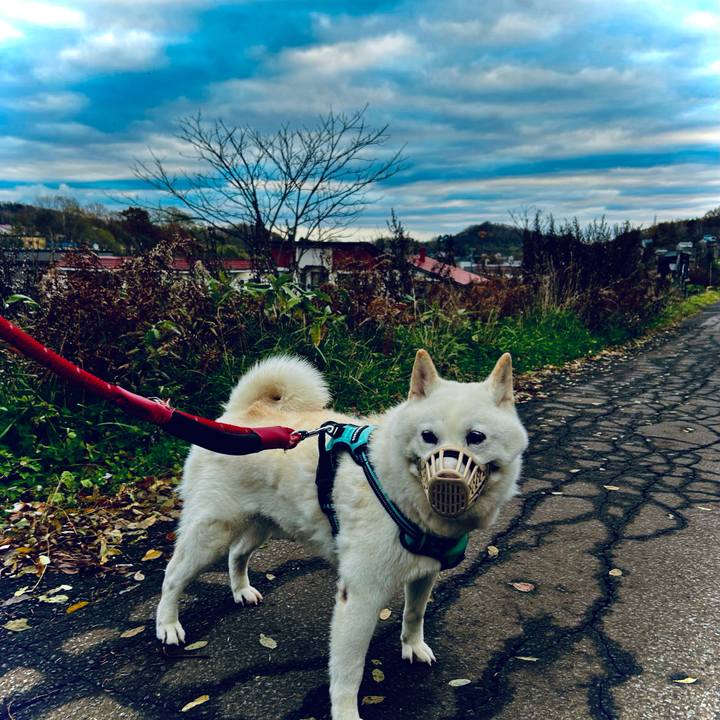 Fbfb7994 7784 4d4d 8ca5 0dea08d02415 1700004507579