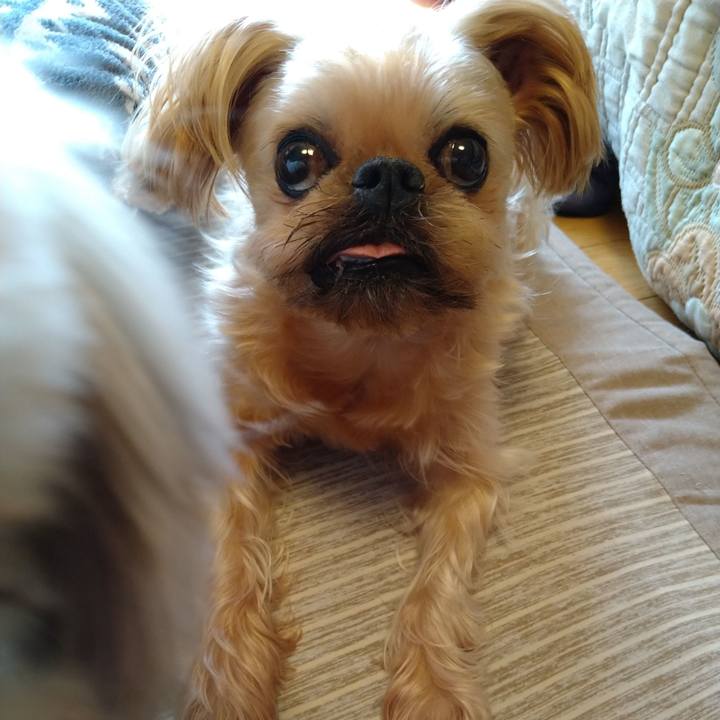 Fbfb87d0 46c7 4694 b6e5 78eabe442401 1612588097551