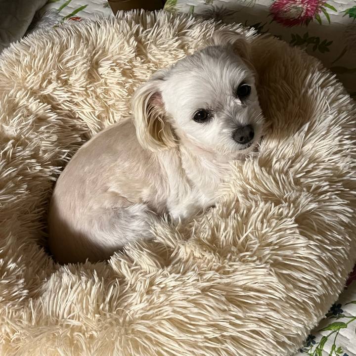 Fbfbfa54 ae57 4f04 948a f864be8a27bf 1666353766205