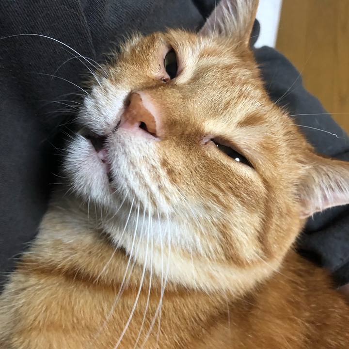 Fbfc04c7 a4a8 4a23 b2e3 8a2e27359cde 1638096407871