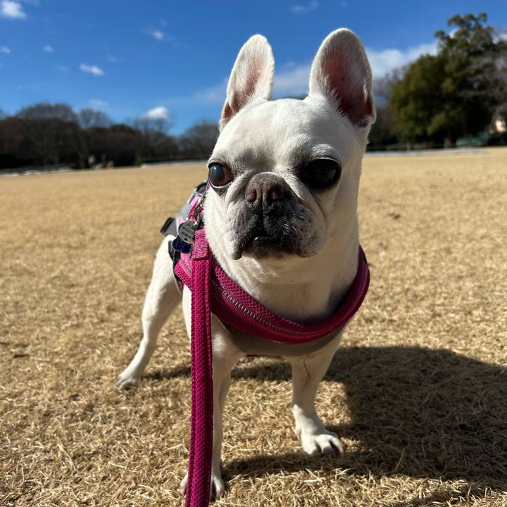 Fbfc1d2b abe3 4622 bff8 938777e97e10 1738998735179