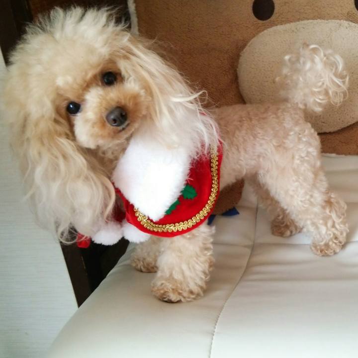 Fbfc258b 8074 4414 aadf 7c414eafd1ee 1542182602179