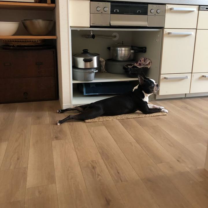 Fbfc9d96 0f95 470c a890 40484de2e034 1721260650960