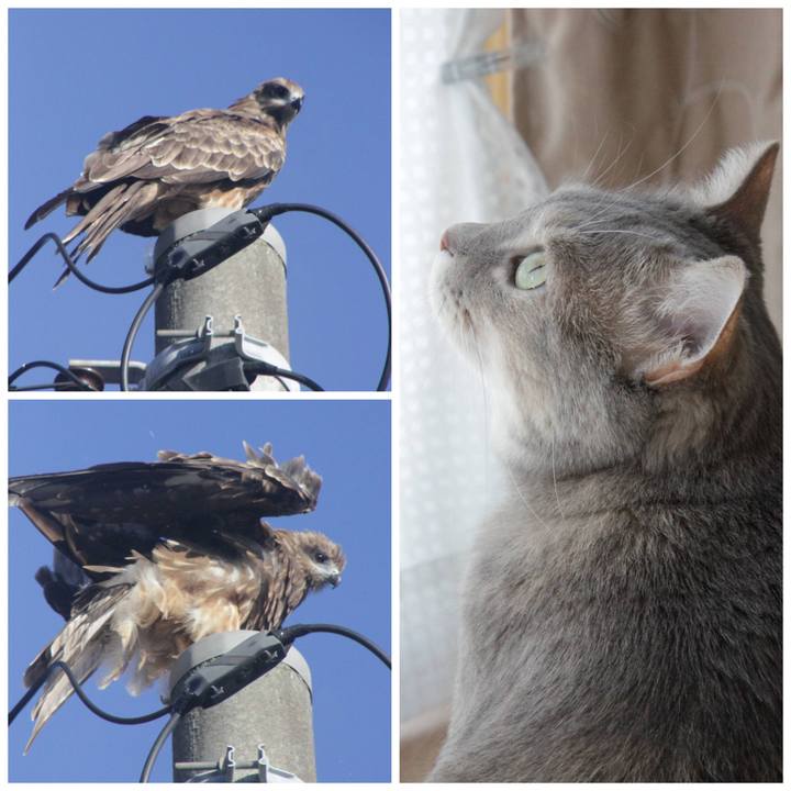 Fbfcb6f3 9639 4aff 922d babeb7e371f2 1630125587103