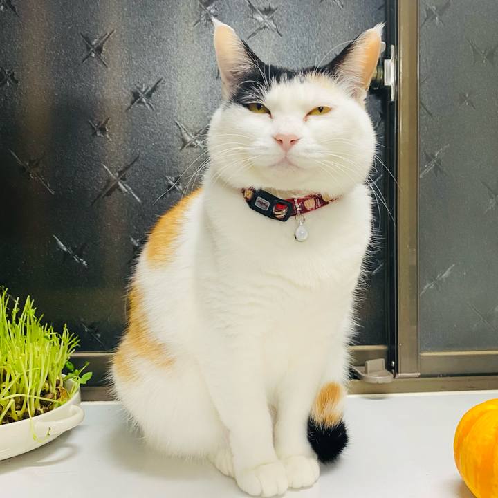 Fbfcc421 d8e3 48c0 bf3d 7b6cb704c43b 1675780422316