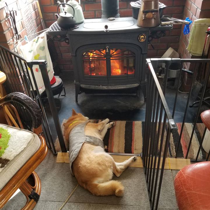 Fbfcd6ff f8f6 4cb1 93a0 02773a106b82 1677197839865