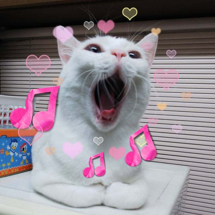 Fbfcfbbd 5e74 4ed2 82a9 55da875b9e56 1551186298678