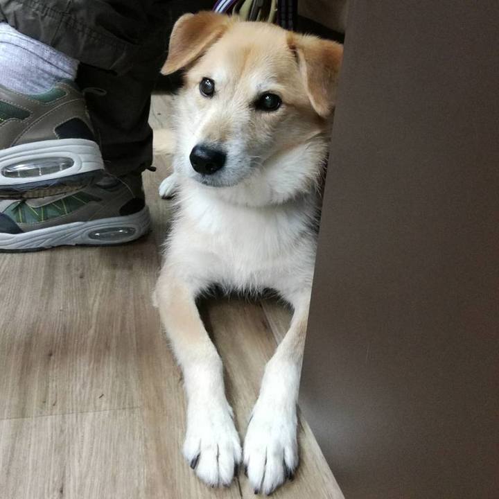 Fbfd036b 406c 4367 aa60 02c1da2d7dbe 1520674381039