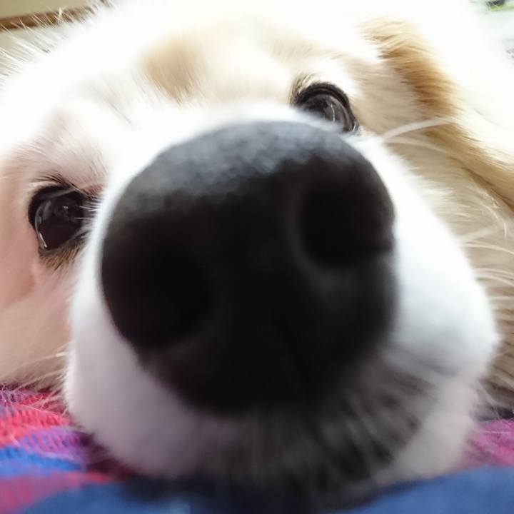 Fbfd352e c8af 48bf afde 0915b43271be 1527366607848