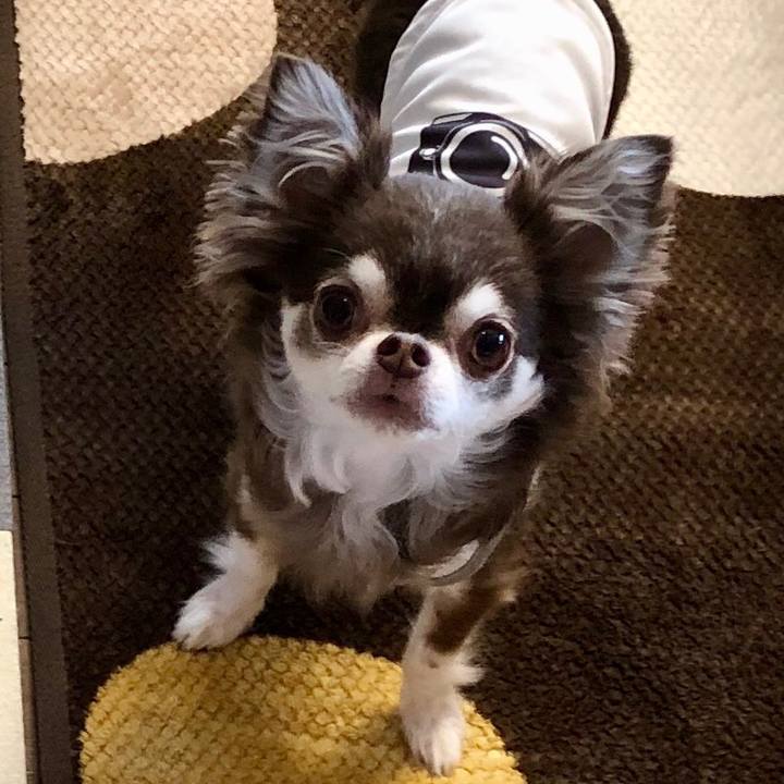 Fbfd3833 91cb 40b3 b709 b87013a17e48 1590932180038