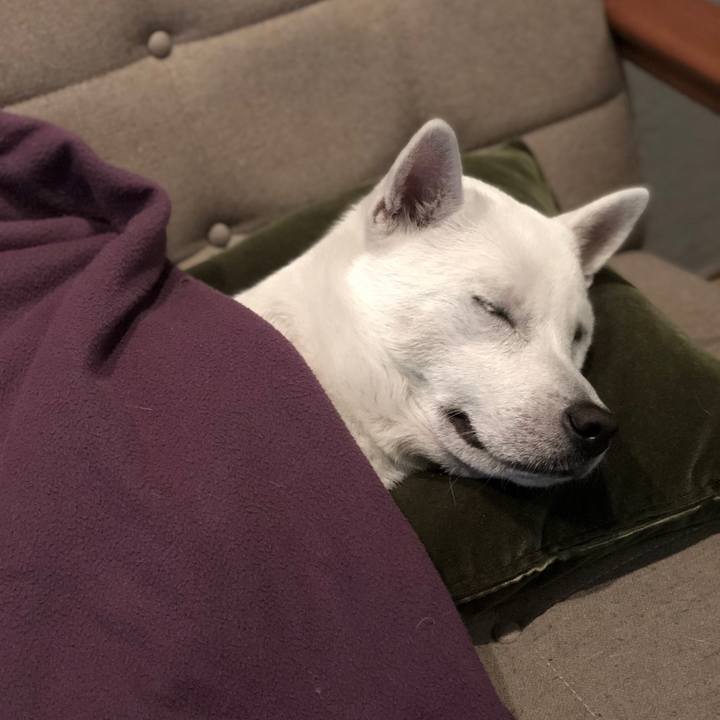 Fbfd4ab0 a0fb 433d 872e e43eb7d68a23 1547284203347