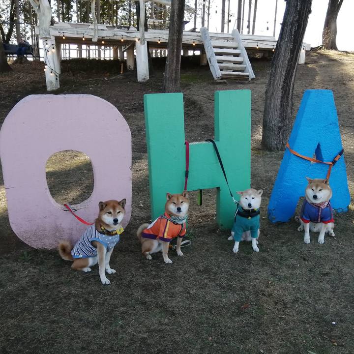 Fbfd51b8 9553 43cb bbc6 3eb5aeaf58ca 1638101543478