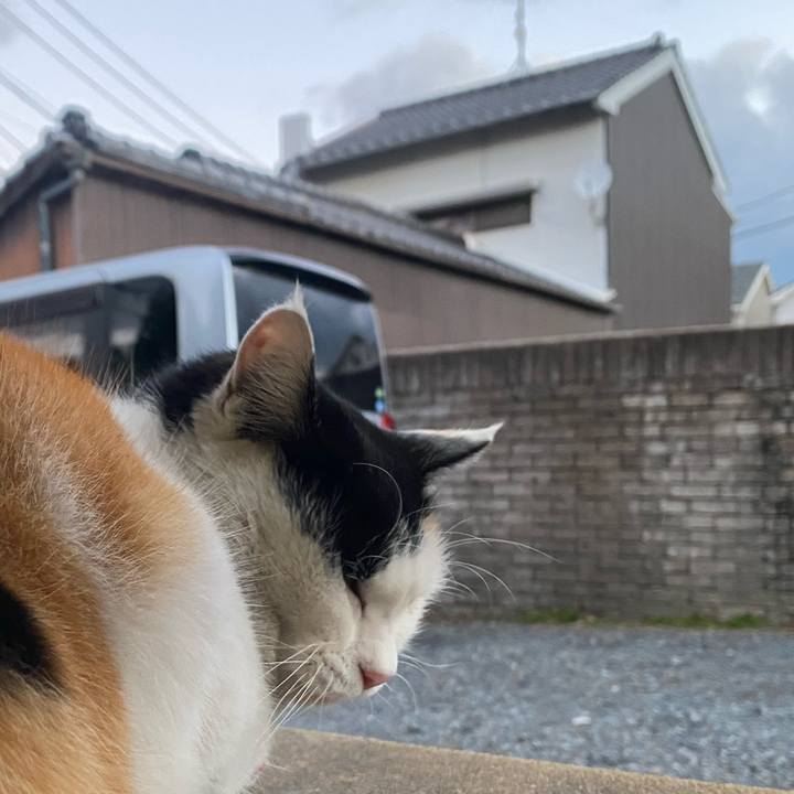 Fbfd8f29 41b8 44db b83b 8dd4d8abeb14 1641939784374