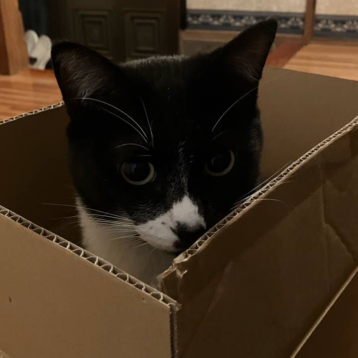 Fbfd996e 742d 4626 8bc3 9e07e4452d83 1696390786563