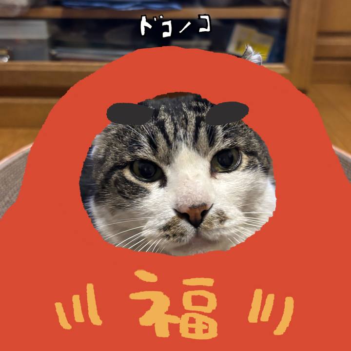 Fbfdfabd 3005 4192 856f fafaba66c80b 1771924752907