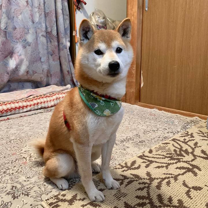 Fbfe0c4a 56e8 40b2 96d7 15772e265da0 1612520863686