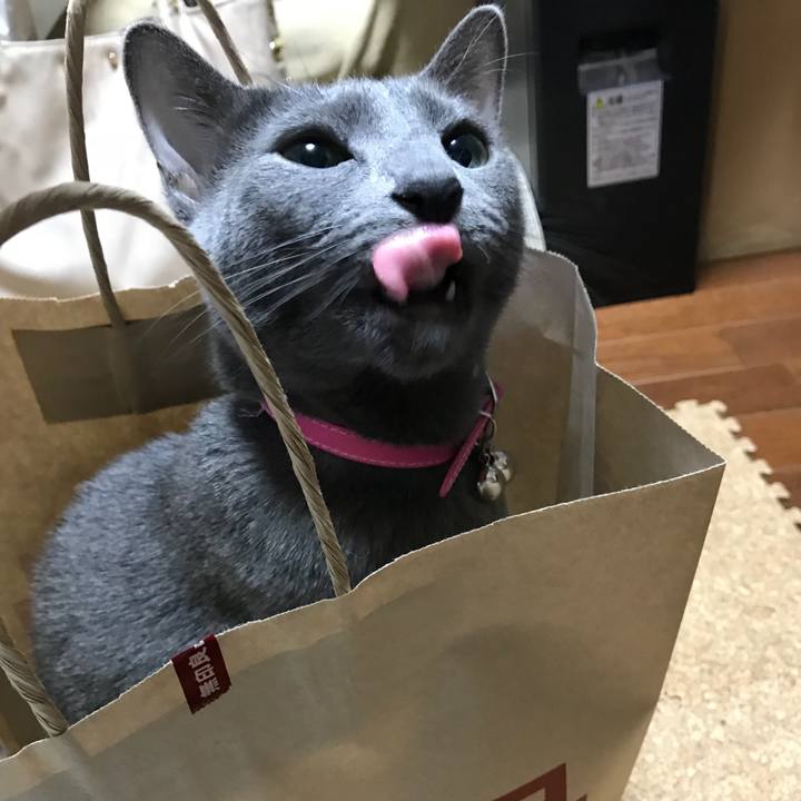 Fbfe0f25 e582 4bd0 abd2 03aaaf33ec12 1517912822192