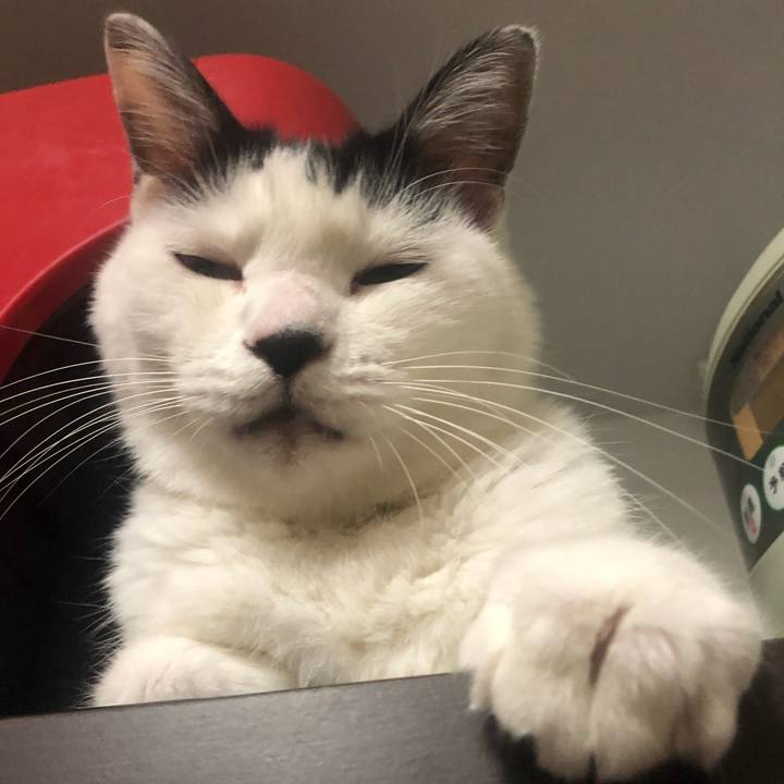 Fbfe202e e84a 48bc 82a9 2029717f41a7 1603014356567