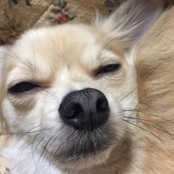 Fbfe5d5e ea69 449b b2dd 173448b034bf 1544996806435