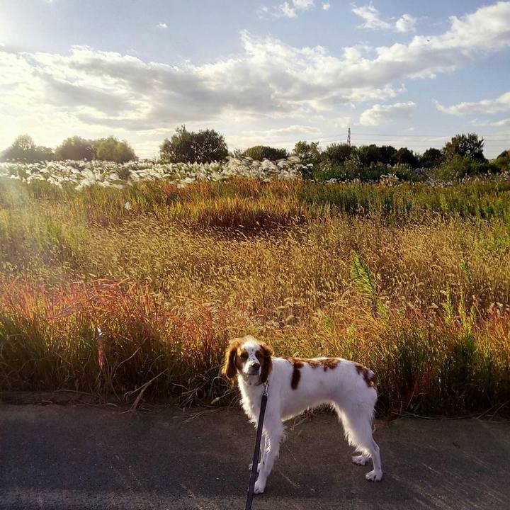 Fbfe841a 297d 49a9 9d3d fd0073916214 1510576695749