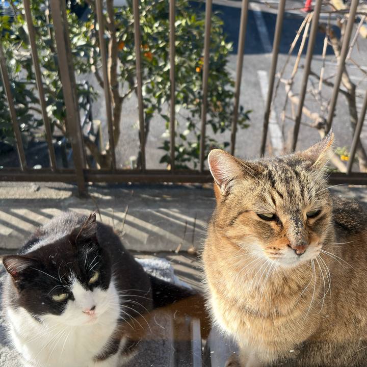 Fbfe8651 d1b4 4962 8ce9 5ffd312c7a57 1769905827874