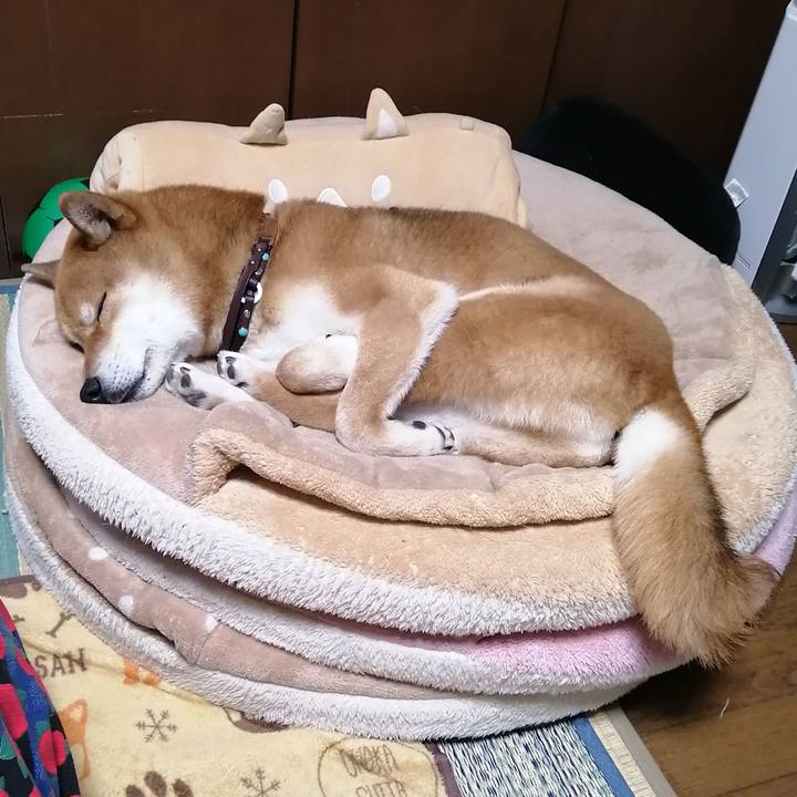 Fbfe9987 24be 44f8 a0fa 4ea15abdd22f 1582030054572