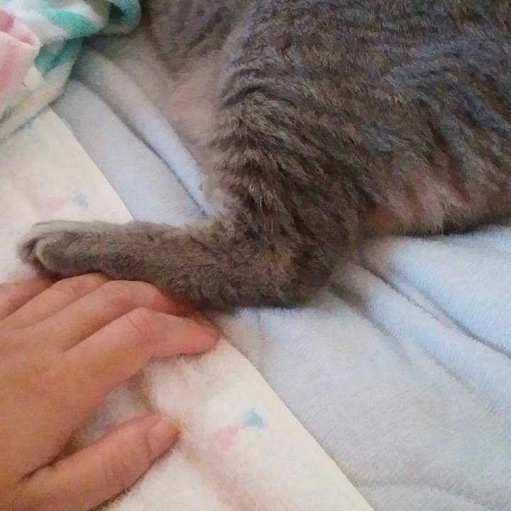 Fbfeb1cc 8e05 41a7 b9a0 e044600973b2 1568508134236