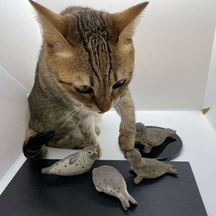 Fbfecfb4 7766 4bbf a004 28aebcefb6c9 1673781941821