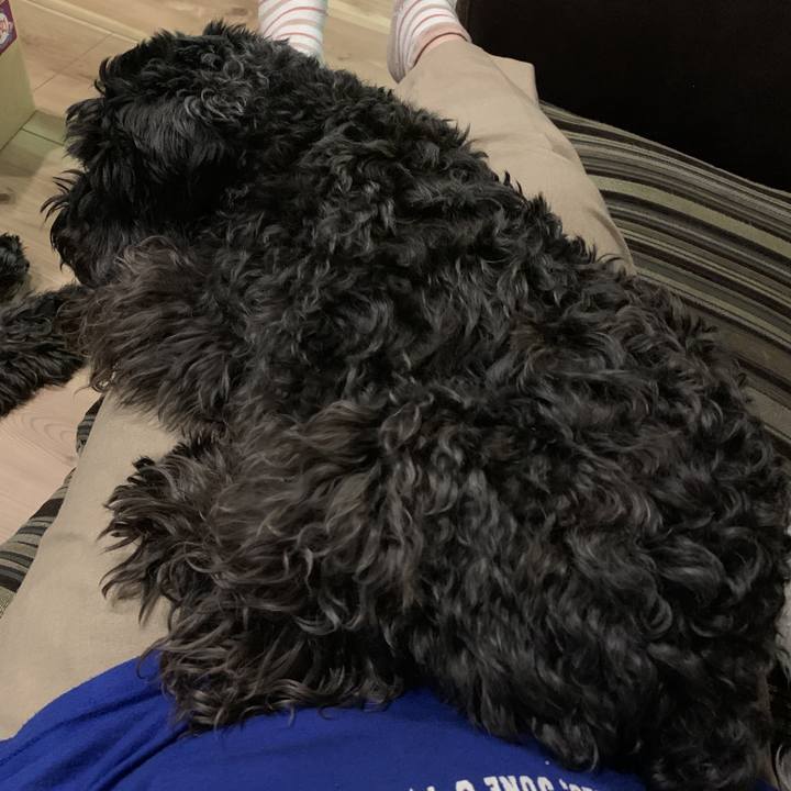 Fbfee0ed e9e7 4ff8 ae3e 0ad536f784e3 1591437997837