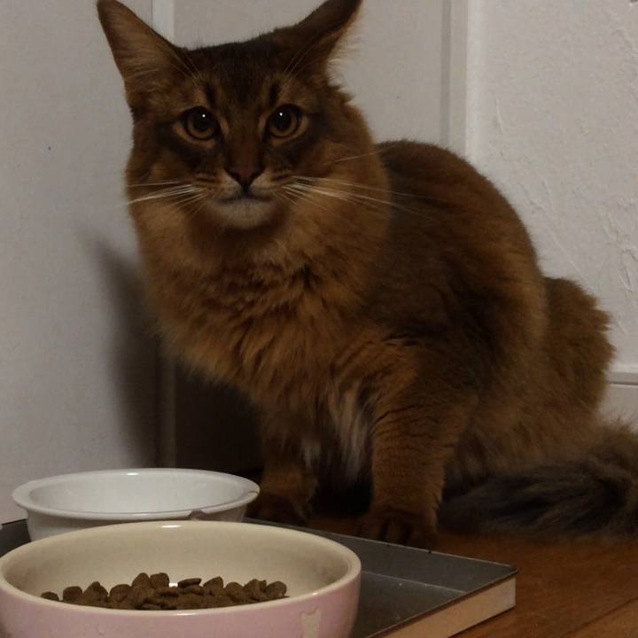 Fbfeec39 3a81 402e a41b 660ac4790ba6 1594969484048