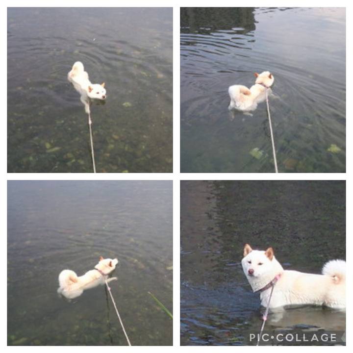 Fbff2a9e 1655 401f b44c f3874a30bafb 1648530305206