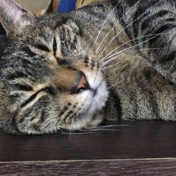 Fbff471d d819 4126 997f c915b97253ff 1566741003754