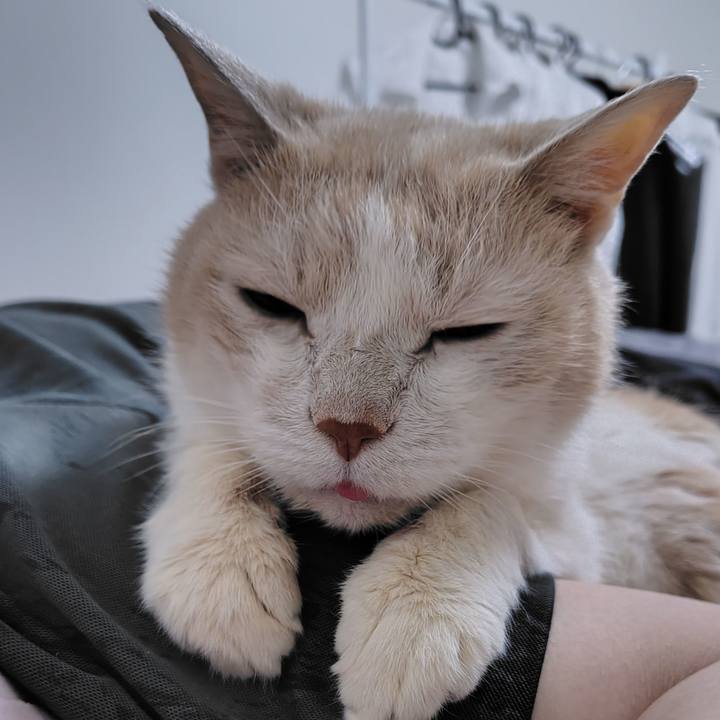 Fbff79ad 86a9 4781 8e22 7bf58a65cfe0 1720955705156