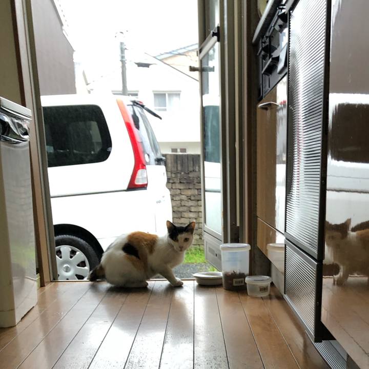 Fbff7a8f ad09 489e ae64 3d9dd62632f7 1628461377837