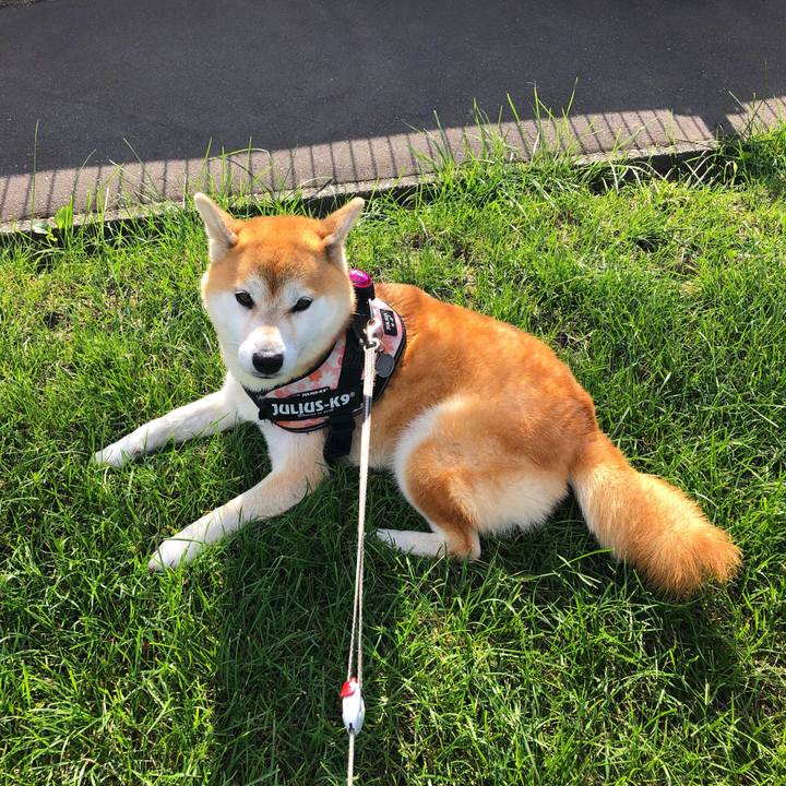 Fbfffcce 78ef 440b 966b db0958964674 1568955538651