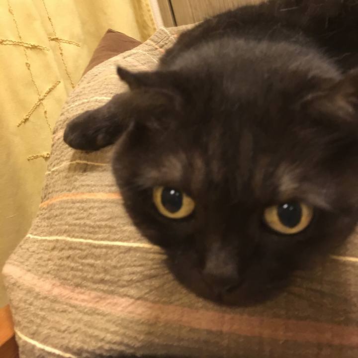 Fc000e21 1c04 49df 9350 b070dbb94a6f 1538741146444