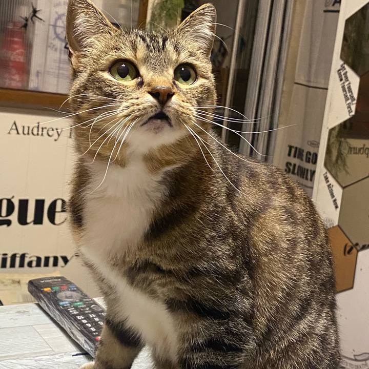 Fc002029 43c3 4853 96c8 cfce53d24154 1609511091702