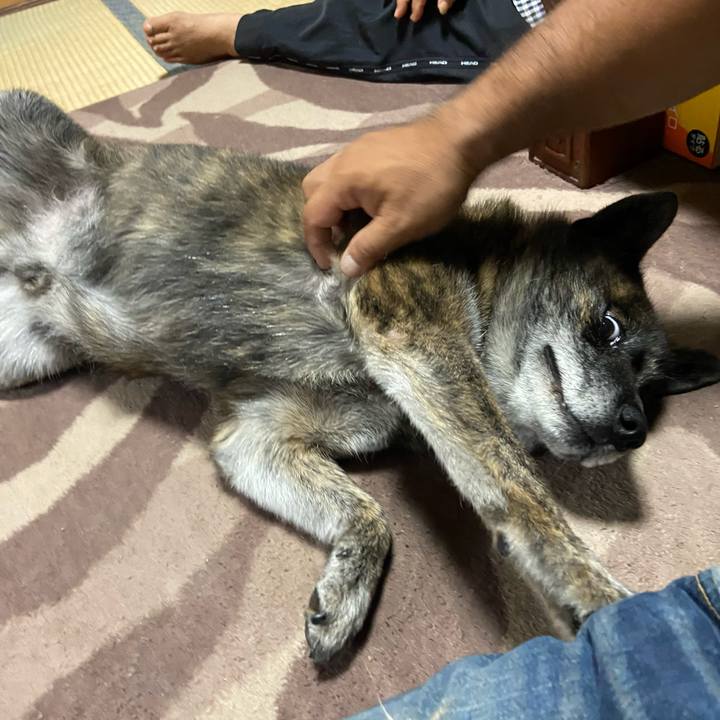 Fc002091 b401 4dd8 9002 f0e4c7d2995f 1598688730875