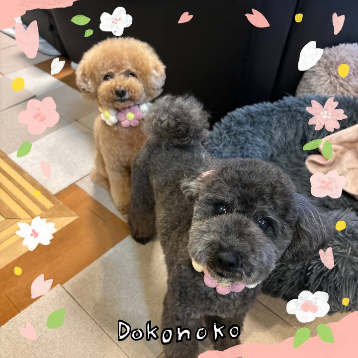 Fc0058da fb0e 4b66 8ac6 2917d00c3945 1711356805928