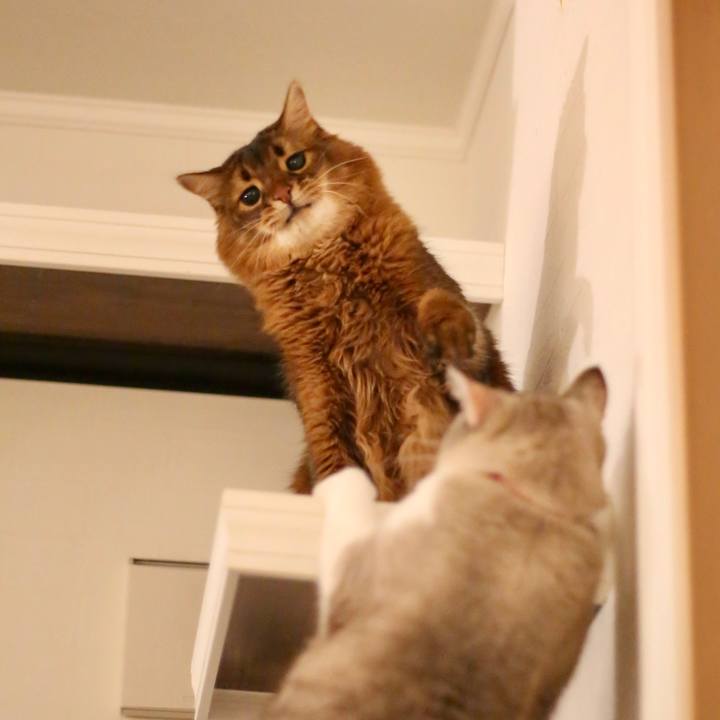 Fc006d74 71c4 48a6 b806 e89ce584da3a 1669779578027